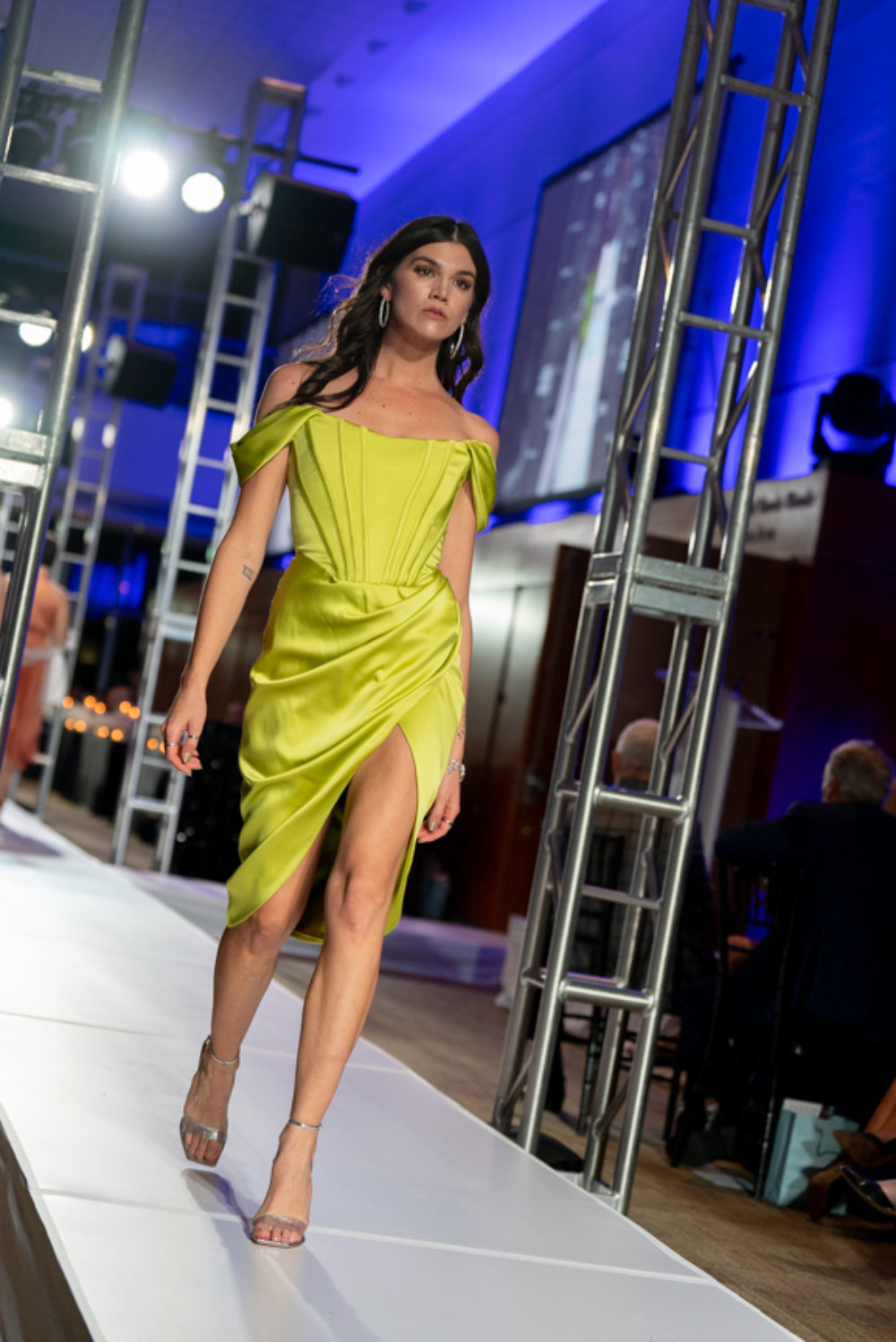 2022 Couture for a Cure Gallery Van Andel Institute